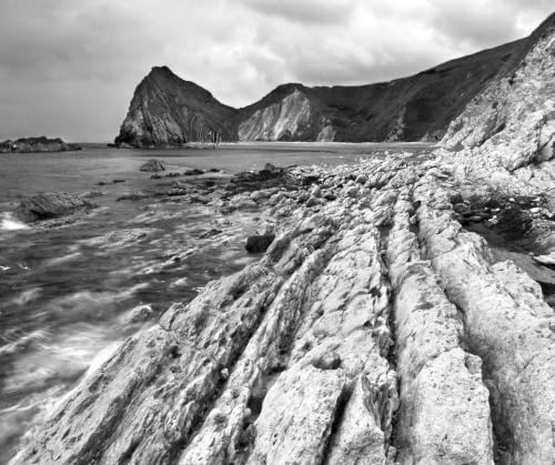 Image of The Ends of the World: Volcanic Apocalypses, Lethal Oceans, and Our Quest to Understand Earth's Past Mass Extinctions