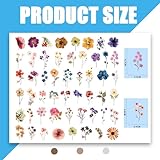 Zoom IMG-1 habni 100 pezzi adesivi floreali Zoom IMG-1 habni 100 pezzi adesivi floreali