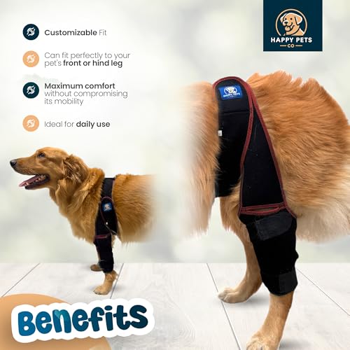 Image of Dog Knee Brace Adjustable Front Hind Leg Brace for Cruciate Ligament Injury, Luxating Patella, Torn ACL