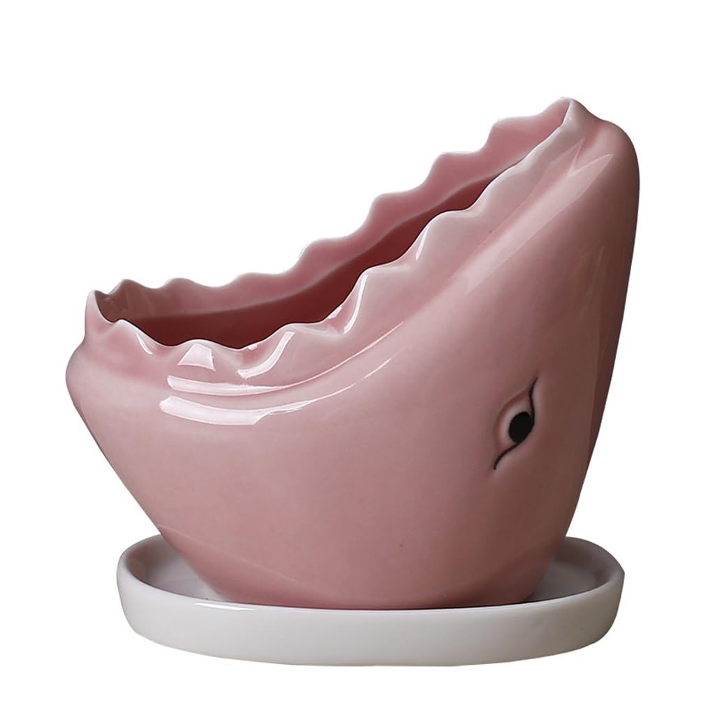 Gelasige C Flower Pots Erami Succulent Flowerpots, Shark-Shaped Flowerpots, Home Decoration Accessories, Balcony Garden Flowerpots Outdoor Flower Pots(C)