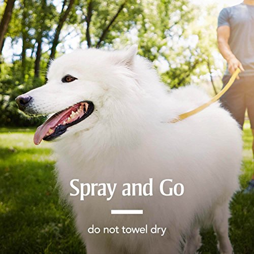 PetArmor Fastact Plus Flea and Tick Spray for Dogs and Cats 16 oz - Image 3
