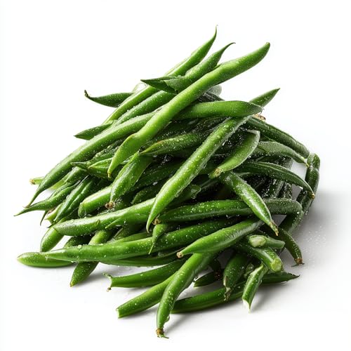 50 Blue Lake 274 Bush Green Bean Seeds for Planting - Stringless Uniform Pods Ideal for Canning,...