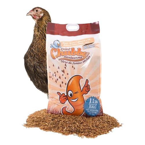 Chubby Dried Mealworms | 11 lbs | High Protein Non GMO Insect Treat for Wild Birds, Chickens & Backyard Feeders
