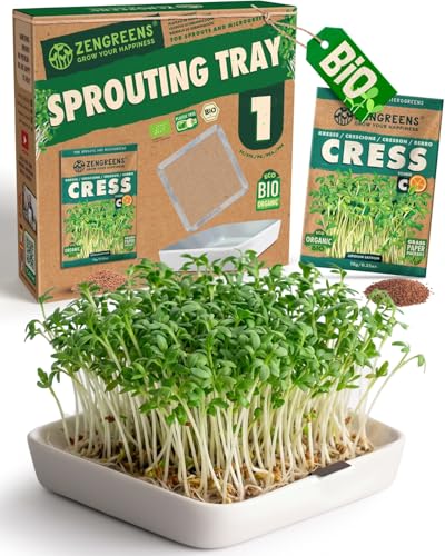 🌱 FACILE DA PULIRE E LAVABILE IN LAVASTOVIGLIE: Pronto per il prossimo raccolto! Poiché utilizziamo esclusivamente materiali di alta qualità come ceramica e acciaio inossidabile, puoi lavare comodamente e igienicamente sia la vaschetta che la rete direttamente in lavastoviglie.
