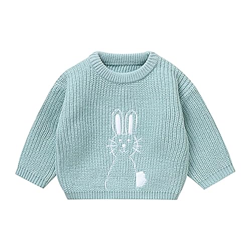 RNTOP Baby Knit Sweaters Toddler Boy Girl Cute Bunny Embroidery Sweater Crewneck Long Sleeve Warm (Blue, 12-18 Months)