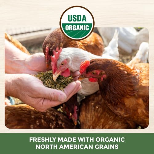 New Country Organics | 산란계를 위한 클래식 레이어 피드 | 콩 프리 | 17% 단백질 | 유기농 및 GMO 프리 인증 | 11.3kg(25파운드) — 사진 5