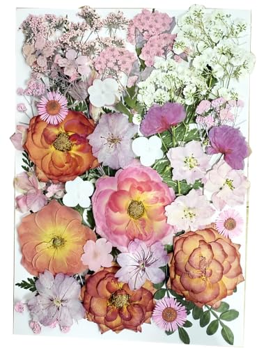 48 piezas de flores y hojas naturales secas prensadas miniatura 1