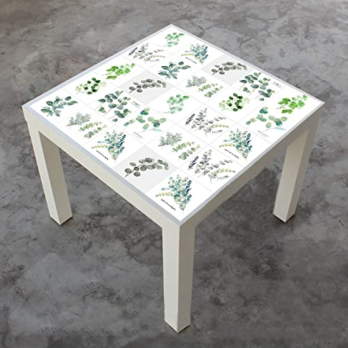 Piastrelle Adesive Cucina 10x10 Piante Verdi