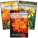 Sow Right Seeds - Marigold Collection Flower Seeds for...