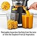 Zulay Fruit Press Machine - Masticating Juicer Machine with High Yield, Quiet Motor, & Reverse Function - Cold Press & Carrot Juicer with Wide Chute - Slow Juicer Machines for Fruits & Vegetables