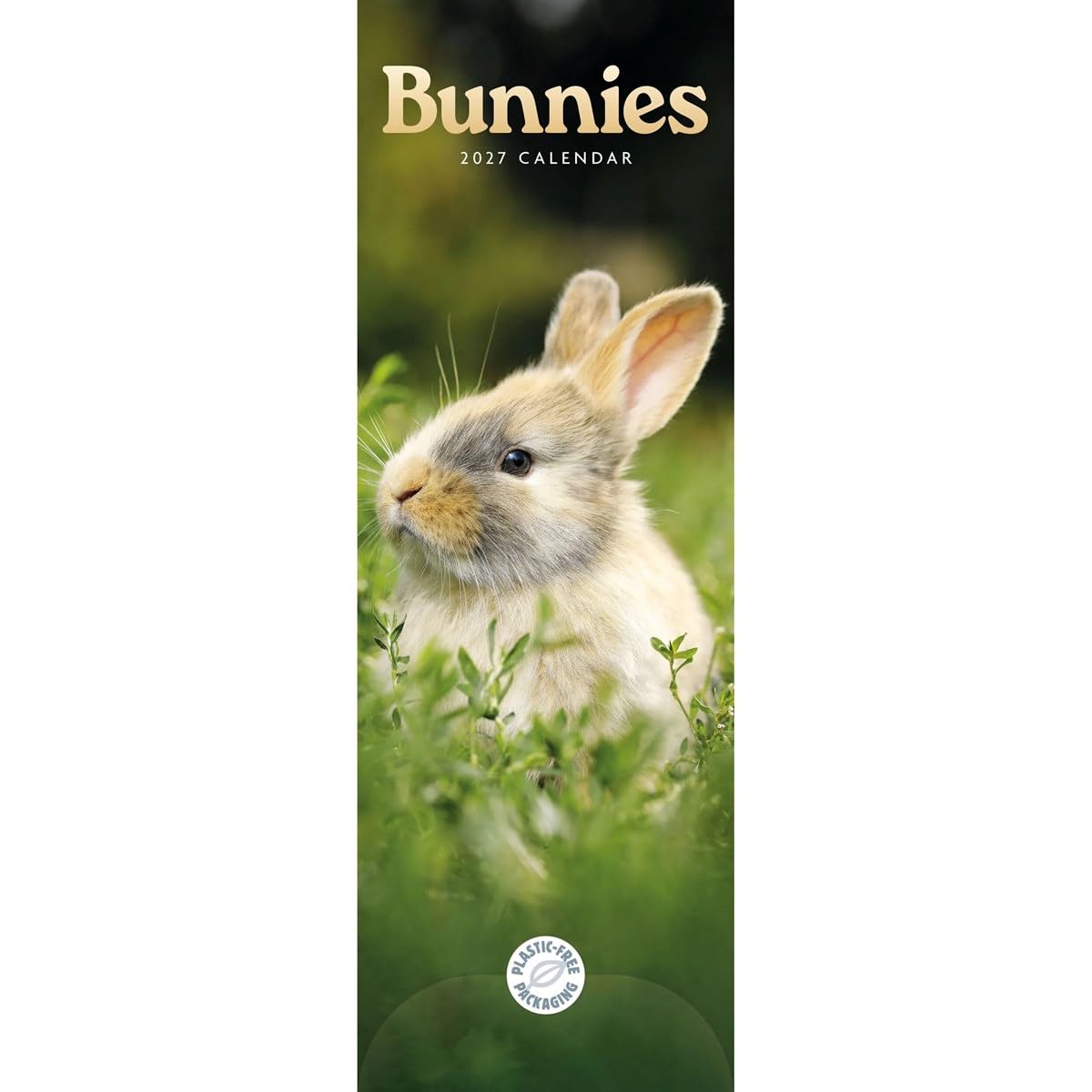 Carousel Worldwide Bunnies 2027 Slim Wall Calendar, 12-Month Calendar, Cute Rabbit Photography