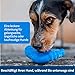 PetSafe Gefrier-Pinguin, Tiefkühlgeeignetes Snackspielzeug für Hunde, Beschäftigung und Gewichtskontrolle, Klein, Blau