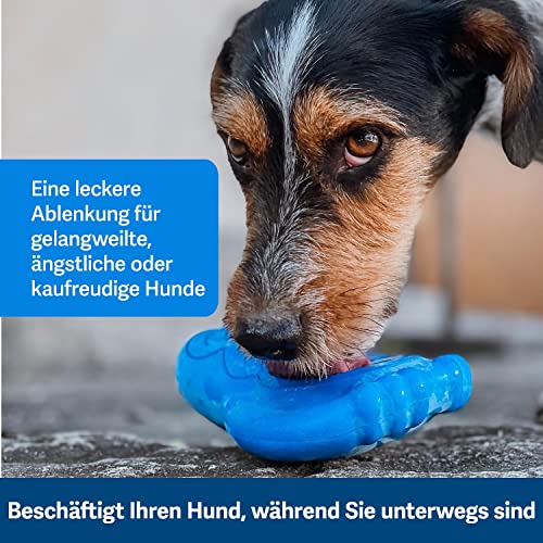 PetSafe Gefrier-Pinguin, Snackspielzeug für Hunde, Zur Beschäftigung und Gewichtskontrolle, Größe Mittel/Groß, Blau