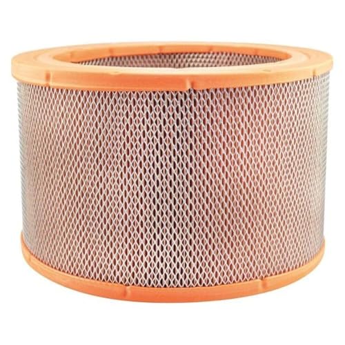 Filtre à air Baldwin PA5665 pour stopper la poussière de moteur de camion