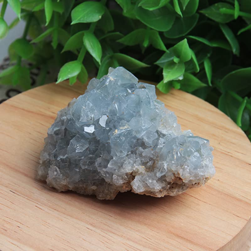 Image of Acxico 1Pcs Celestite Cluster Large 2.5 inch - 3.5 inch Blue Celestite Gemstone Mineral Specimens