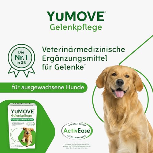 YuMOVE Grünlippmuschel Hund - 120 Tabletten - Gelenktabletten Hund - Beweglichkeit und Gelenkfunktion - Gelenktabletten für Erwachsene Hunde - Mit Aktiv Omega-3, Glucosamin und Hyaluronsäure