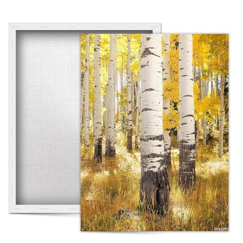 Aspen Tree Wall Art, White Birch Canvas Print Colorado Autumn Landscape Framed Poster Nature Photography Canvas Home Office Decor Ready to Hang Framed, 08×10 inch