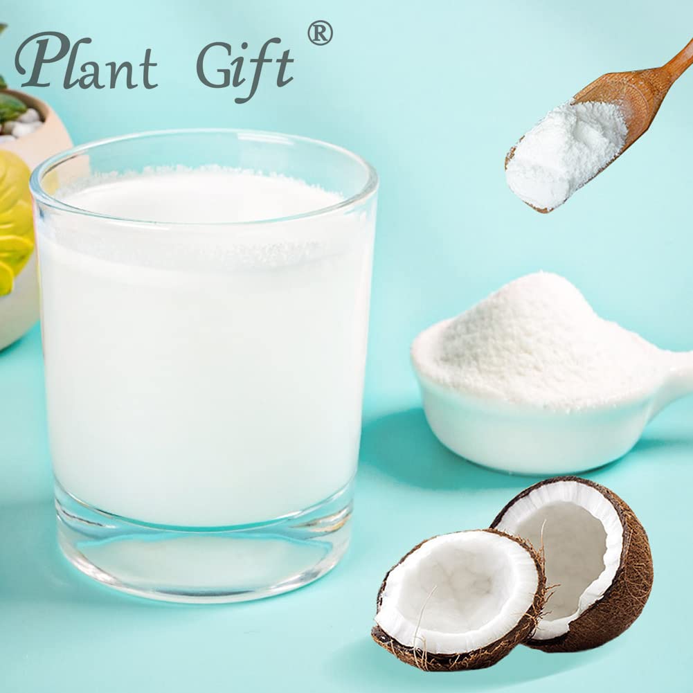 Plant Gift 100% Pur Poudre de Noix de Coco 椰子粉, Pour Boissons 100g/3.25oz | Naturel. Sans additifs. Mouture fine, arôme de noix de coco. Pour smoothies et pâtisserie. Also: Coconut Powder.