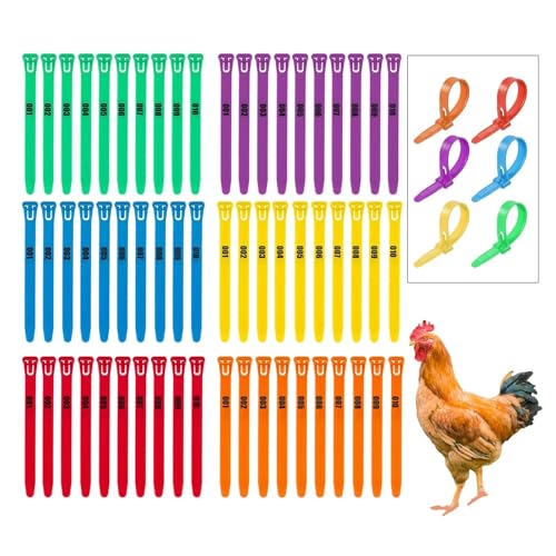 Anillo ajustable para patas de pollo antidesprendimiento para controlar pavos y gansos 50u 2