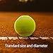 plplaaoo Tennis Ball Set Professional Competition Training Durable Elastic Fluorescent Yellow 3 Pcs Tennis Balls for Tennis Players and Pet Training