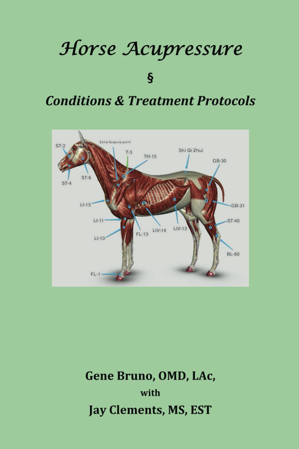 Horse Acupressure: Conditions & Treatment Protocols