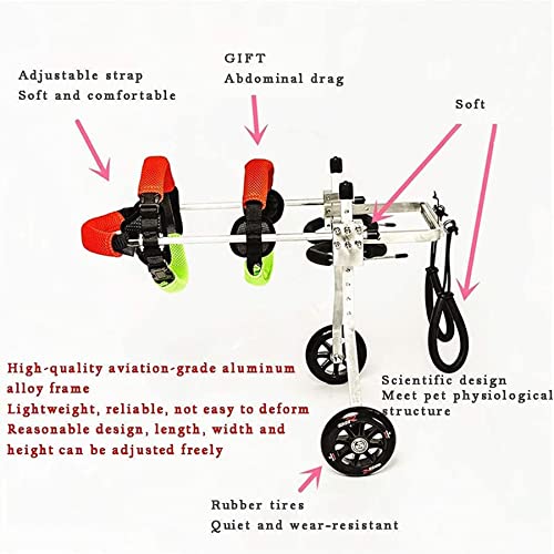 Fauteuil roulant pour chien handicapé - Solution mobilité pattes arrière