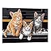 Produktbild IPOTCH Klavier Katzen Malen nach Zahlen Kits für Erwachsene Anfänger Kinder, DIY digitales Ölgemälde Kinder Leinwand