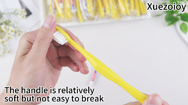 Amazon.com : Xuezoioy Disposable Toothbrushes with Toothpaste,200