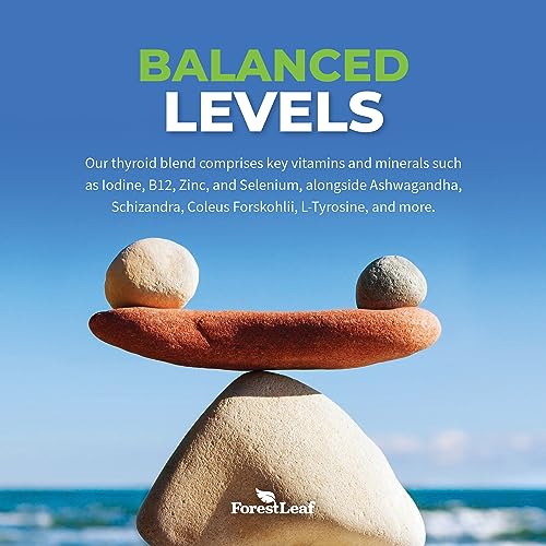 thyroid support for women and men with iodine - energy focus amp power thyroid supplement - all natural herbal mineral and vitamin complex with b12 zinc selenium ashwagandha - 60 vegetarian capsules