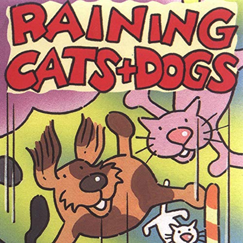 Raining Cats and Dogs Kidzone Amazon.fr Téléchargement de Musique