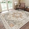 Amazon.com: GENIMO 3x5 Area Rugs for Living Room, Machine Washable Non ...