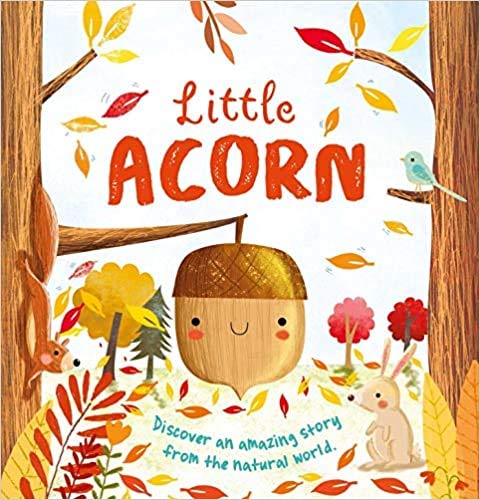 Little Acorn Kids Book