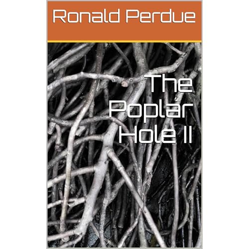 The Poplar Hole II Audiolibro Por Ronald Perdue arte de portada