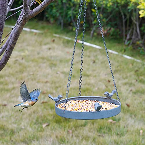 Bird Feeder Hanging Tray, Seed Tray For Hanging, Bird Baths For Outside Garden Backyard Decorative Great For Attracting Pet Hummingbird Feeder #TOP6