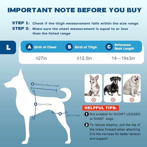 Image of Dog Knee Brace for Hind Leg - Adjustable Dog Rear Leg Support Brace with 4 Metal Stabilizers, Helps with Torn CCL, Luxating Patella, Ligament Injuries, Hip Dysplasia,L