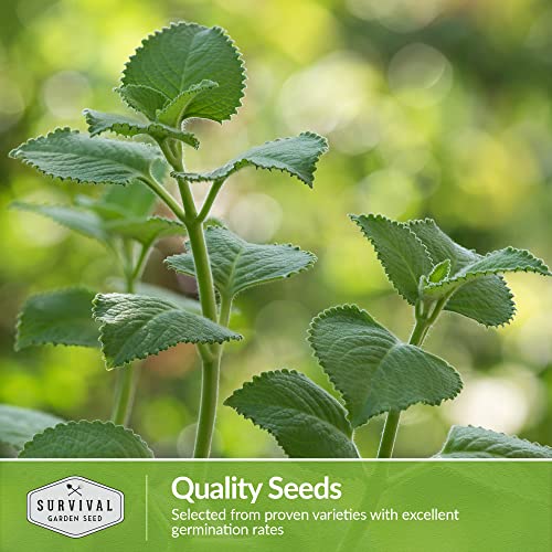 Survival Garden Seeds - 18 Medicinal Herb Seeds To Plant And Grow In Your Home Vegetable Garden - Grow And Brew Your Own Herbal Teas And Tinctures For Health - Non-Gmo Heirloom Varieties #TOP4