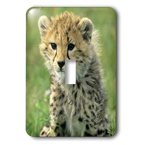 Interrupteur à bascule simple motif bébé guépard de Tanzanie 3dRose
