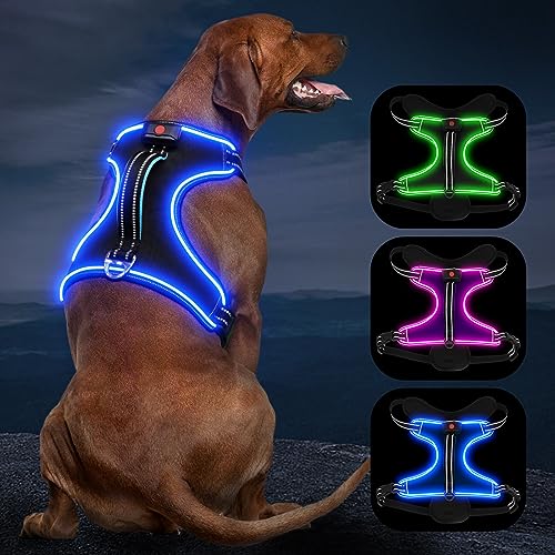 Image of LED Light Dog Harness, X-Large, Black-Blue, No-Pull, Rechargeable, for Large Dogs