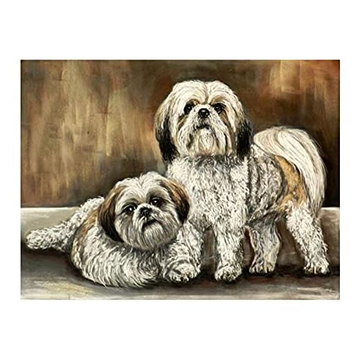 Måla Efter Nummer Kinesiska _ Shih Tzu Lhasa Apso Hunddjur _ Vuxna Och Barn Gör-Det-Själv Oljemålning Presentkit _ Förtryckt Canvas Konst Heminredning _ 40X50Cm _