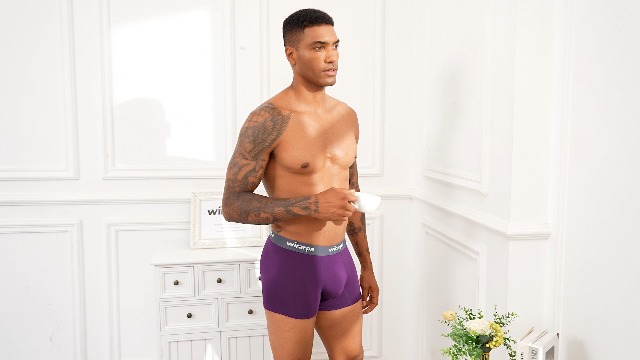 wirarpa Men's Underwear Micro Modal Trunks Soft Microfiber Boxer
