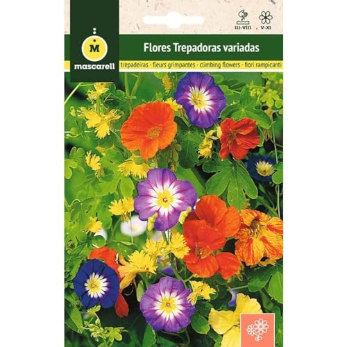 Mascarell Semillas, FLORES TREPADORAS MEZCLA, Semillas Flores Exterior para Decoración, 3 Gramos