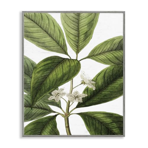 Vintage Botanical Floral Study, 24 x 30 Inch Framed Giclée Print