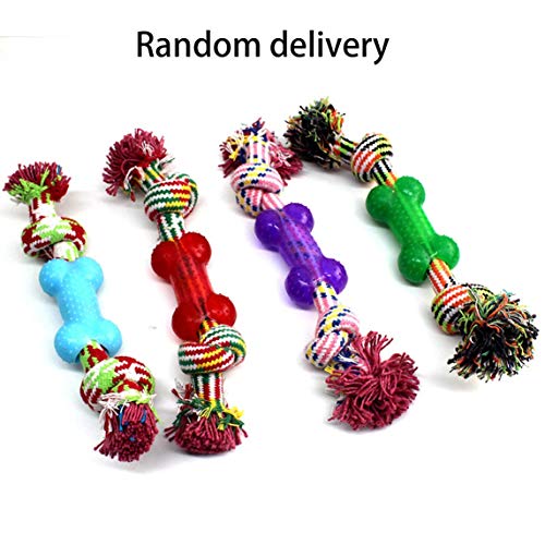 Footprintse Cani Colorati Animali masticano Corda