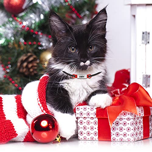 Molain 6 Pcs Slide On Dog Id Tag, Dog Collar Tag, Silicone Stainless Steel Dog Cat Personalized Name Engraved Tags, Custom Dog Tags, Silent Dog License Tag, Blank Pet Id Tags For Dogs Cats (6 Colors) #TOP4