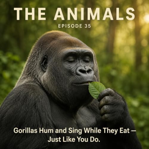 Gorillas Hum and Sing While They Eat &mdash; Just Like You Do