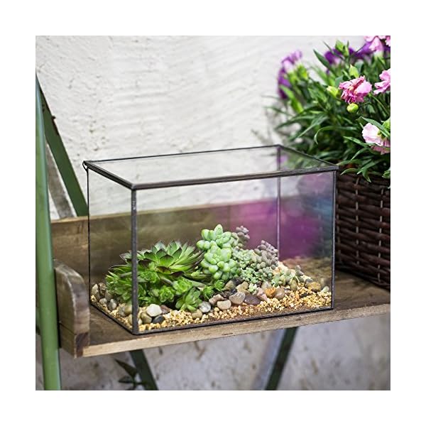 NCYP-Small-Rectangle-Glass-Terrarium-Planter-with-Lid-67-x-4-x-48-Inches-Clear-Black-Geometric-Flower-Pot-Box-for-Succulents-Air-Plant-Fern-Tabletop-Decoration-No-Plants NCYP-Small-Rectangle-Glass-Terrarium-Planter-with-Lid-67-x-4-x-48-Inches-Clear-Black-Geometric-Flower-Pot-Box-for-Succulents-Air-Plant-Fern-Tabletop-Decoration-No-Plants