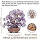 SEKDAQ Amethyst Kristall Baum,Bonsai Baum des Lebens,Heim Und Büro Dekoration,Bonsai FengShui Geldbaum for Positive Energie Und Reichtum,1251 Amethyst Anzahl,34cmx17cmx38cm