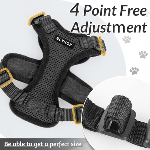 Image of No Pull Cat Harness and Leash Set for Walking - Escape Proof, Soft Air Mesh, Adjustable Vest Harness for Kittens, Cats, Puppy - Lightweight & Comfortable (Queen Pink, XS)