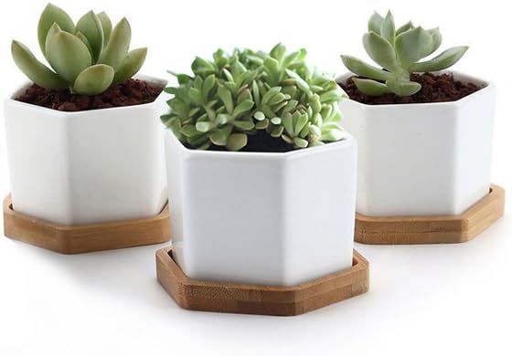 Y8HM Pack of 3 Mini Hexagonal White Ceramic Succulent Planter Pots/Small Flower Plant Containers with Bamboo Tray