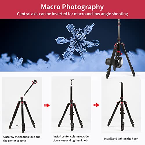 2022 New Camera Tripod, Aluminum Travel Tripod for Camera, DSLR Camema Tripod, Compact Professional Camera Tripod Monopod with 360 Panorama Ball Head, 1/4 QR Plate, Carry Bag